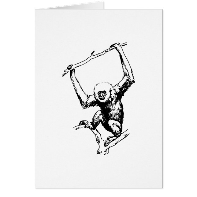 Gibbon (Vorne)