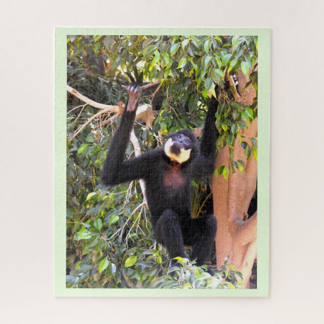 Gibbon (Vertikal)