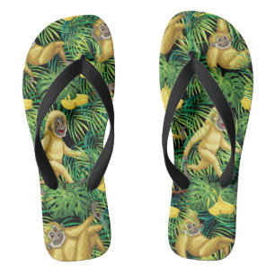 Gibbon-Affen im tropischen Flip Flops