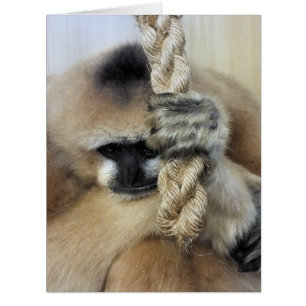 GIBBON CARTE D'ACCUEIL