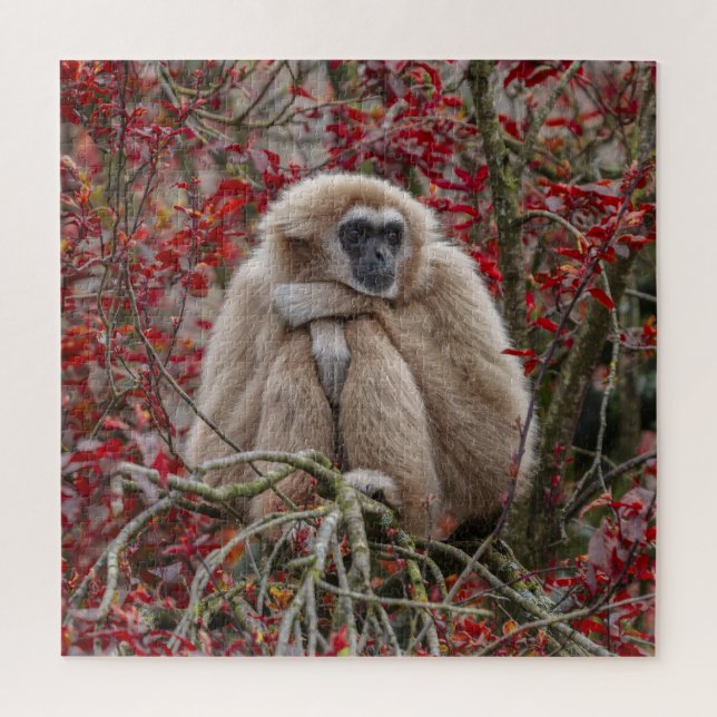 Gibbon Einsamkeit (Vertikal)