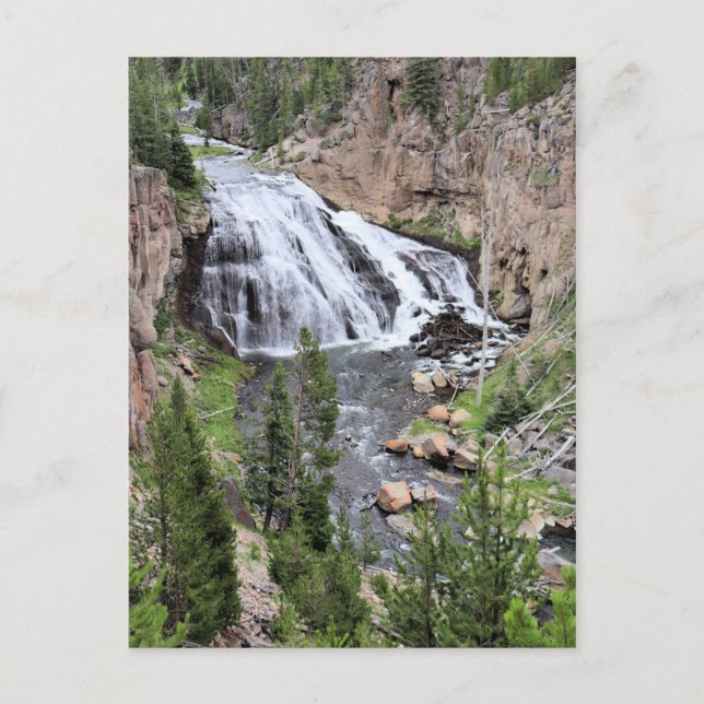 Gibbon Falls, Yellowstone Nationalpark Postkarte (Vorderseite)