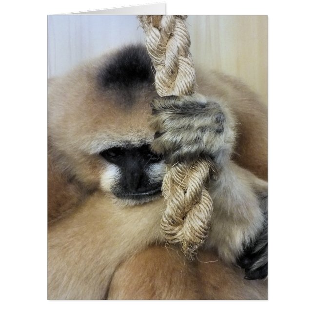GIBBON GREETINGS CARD (Vorderseite)