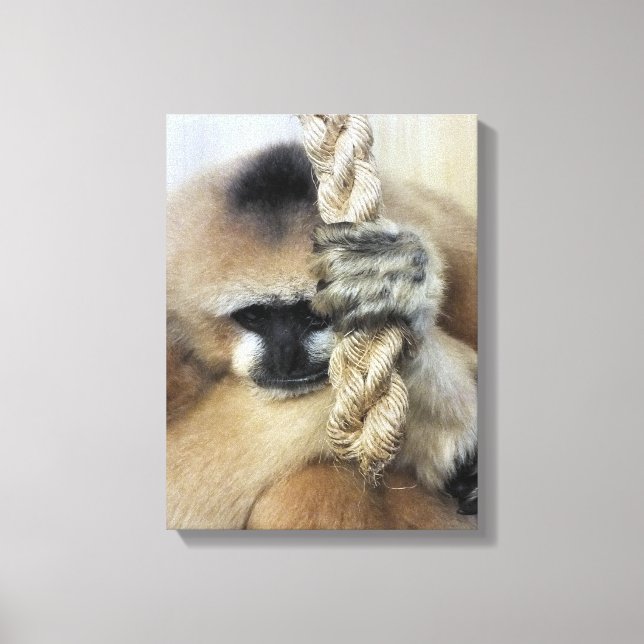GIBBON LEINWANDDRUCK (Vorderseite)