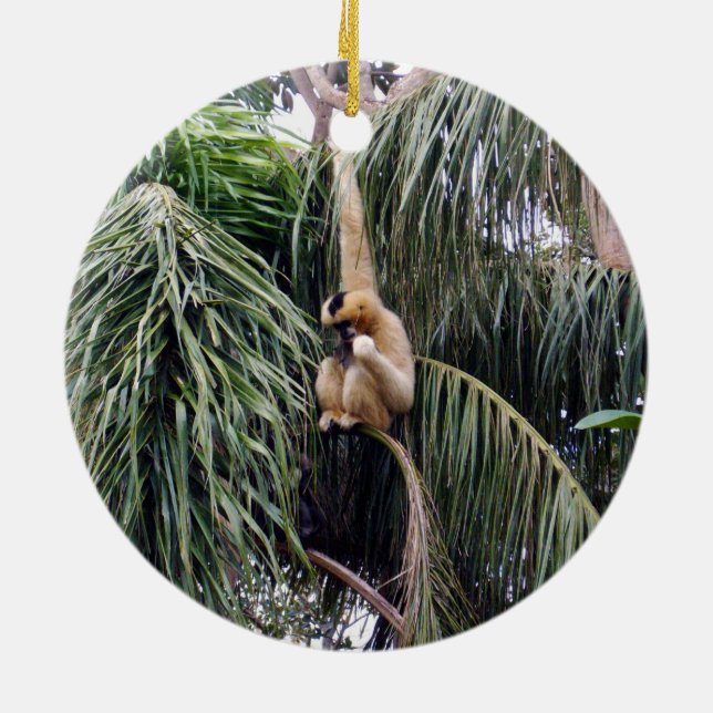 Gibbon Monkey, der nur herumhing, Keramikornament (Hinten)