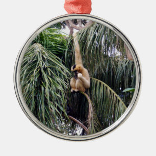 Gibbon Monkey, der nur herumhing, Silbernes Ornament