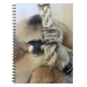 GIBBON NOTIZBLOCK