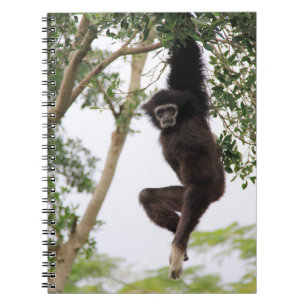 Gibbon schwingt von Baum Notizblock