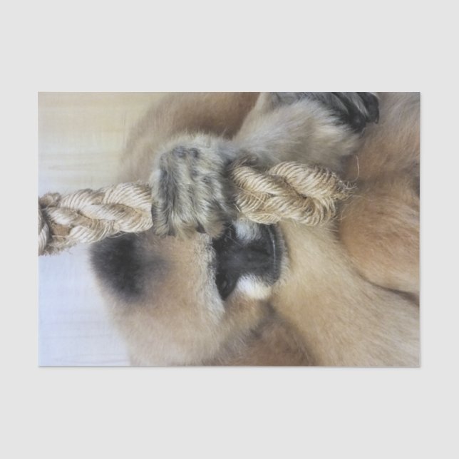 GIBBON SEIDENPAPIER (Vorderseite)