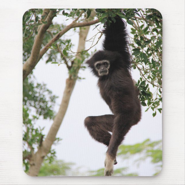 Gibbon Swinging from Tree Mousepad (Vorne)