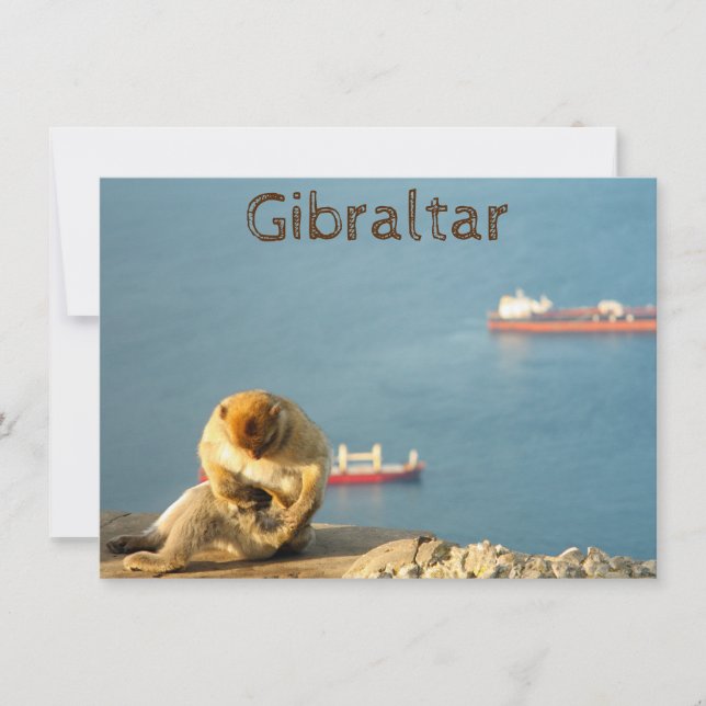 Gibraltar Barbary Ape Card (Vorderseite)