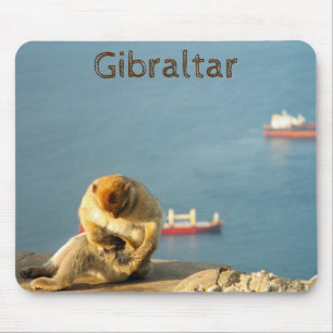 Gibraltar Barbary ape Mousepad