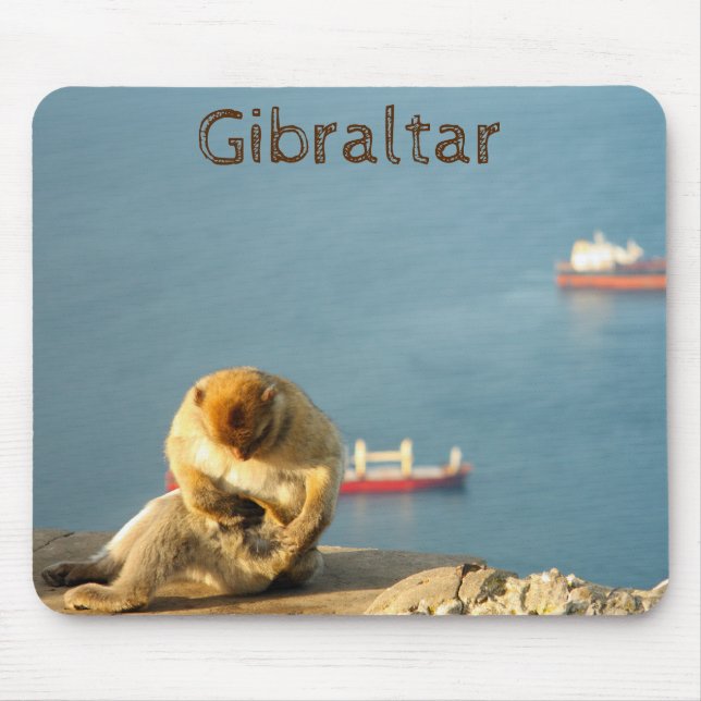 Gibraltar Barbary ape Mousepad (Vorne)