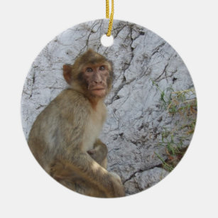 Gibraltar Monkeys Verzierung Keramikornament