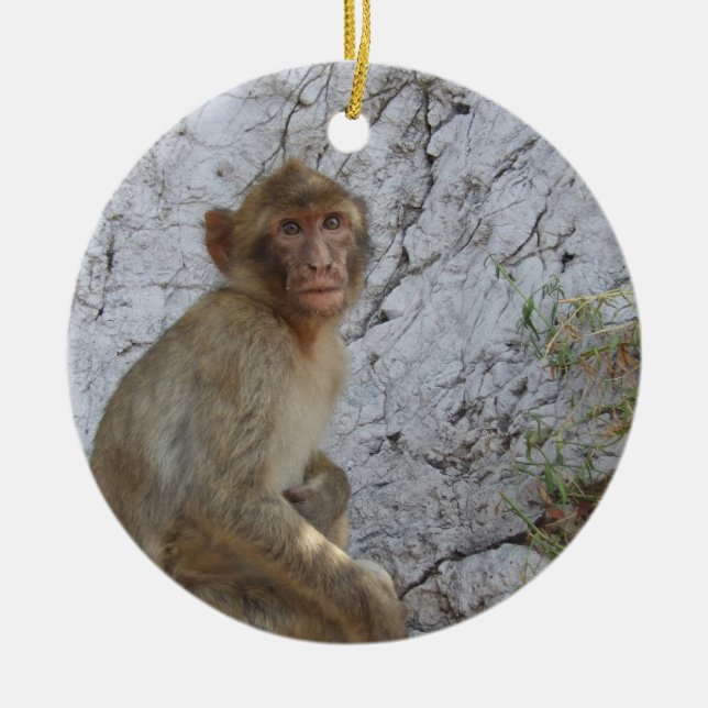 Gibraltar Monkeys Verzierung Keramikornament (Vorne)