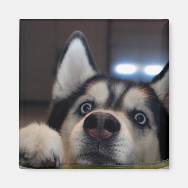 Gibt es da draußen? magnet (Vorne)