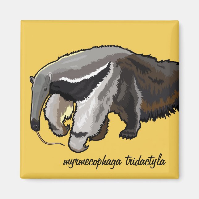 Gier Anteater Magnet (Vorne)