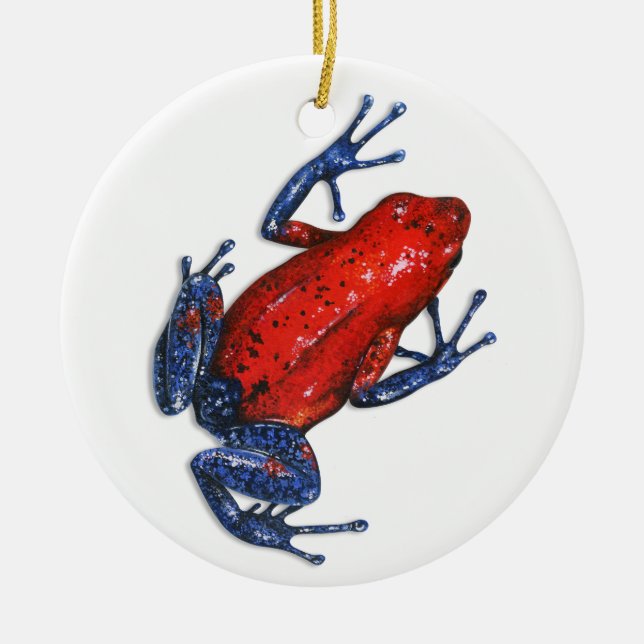 Gift Dart Frog Ornament (Vorne)