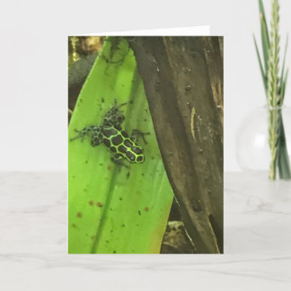 Gift-Grüner Frosch Feiertagskarte