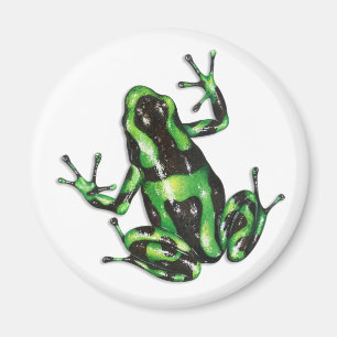 Gift-Pfeil-Frosch-Magnet Magnet