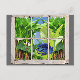 Gift-Pfeil-Frosch Postkarte