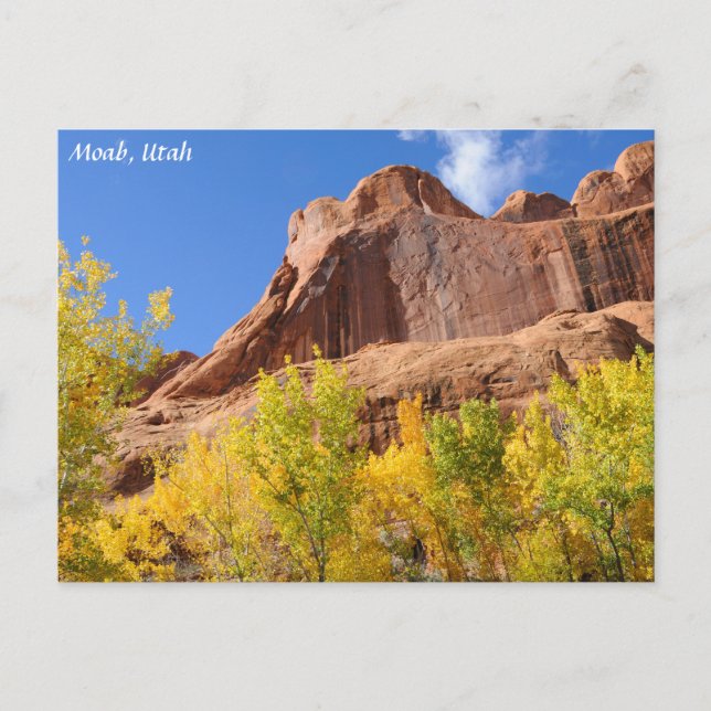 Gift-Spinnen-MESA im Fall - Moab Postkarte (Vorderseite)