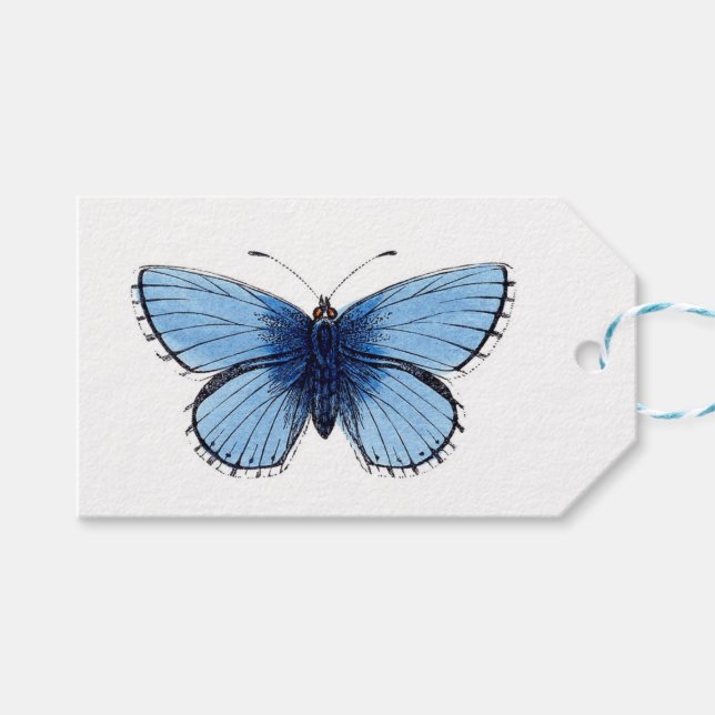 Gift Tags - Blauer Schmetterling Geschenkanhänger (Vorderseite (Horizontal))