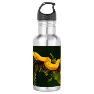 Gift-Viper-Schlange von Costa Rica Edelstahlflasche