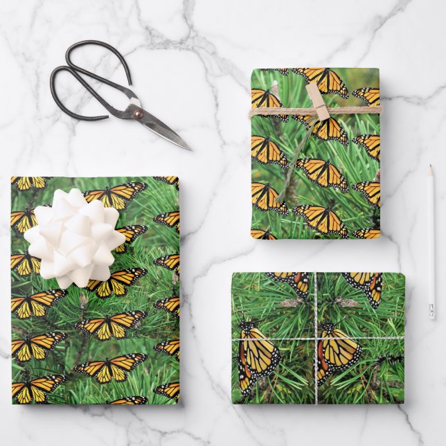 Gift Wrap Paper Monarchs on Pine Boughs Geschenkpapier Set (Vorderseite)
