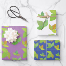 Gifteifenverpackungspapier