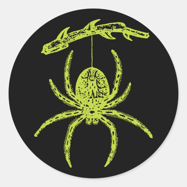 Giftgrüne Spinne Klassischer Rundsticker Runder Aufkleber (Vorderseite)
