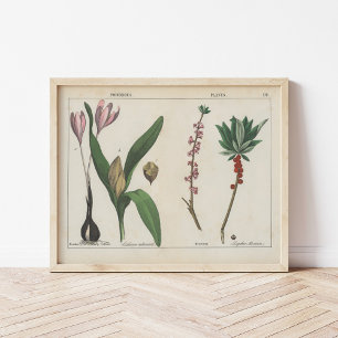 Giftige Pflanze   Charlotte Mary Yonge Poster