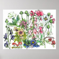 Giftige Pflanze Kräuter Wasserfarbene Blume