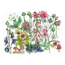 Giftige Pflanze Kräuter Wasserfarbene Blume