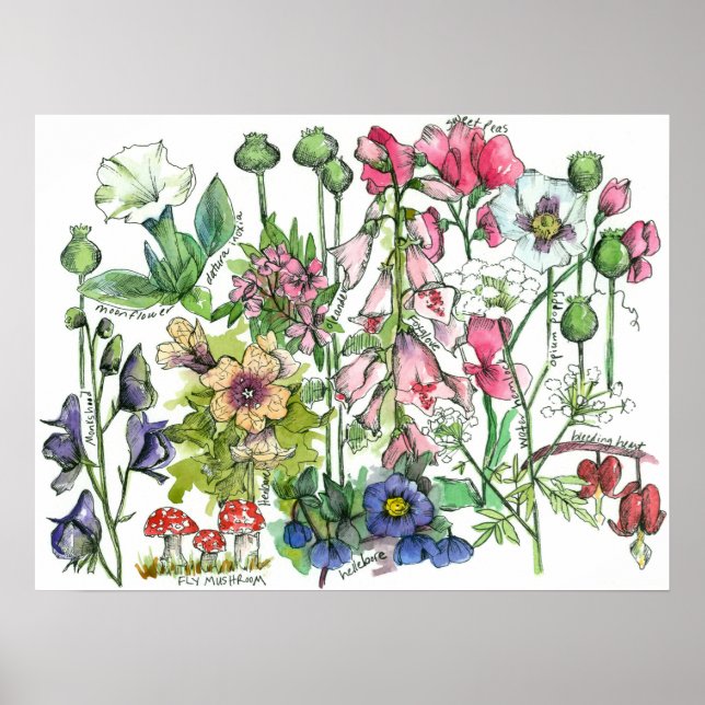 Giftige Pflanze Kräuter Wasserfarbene Blume Poster (Vorne)