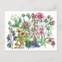 Giftige Pflanze Kräuter Wasserfarbene Blume Zeichn