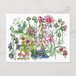 Giftige Pflanze Kräuter Wasserfarbene Blume Zeichn Postkarte