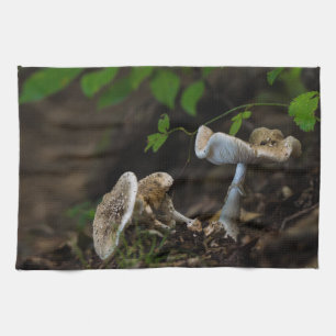 Giftige Schönheit Handtuch