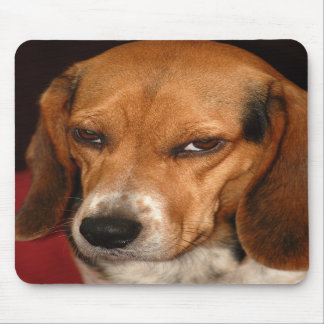 Giftiger Blick mousepad