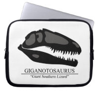 Giganotosaurus Skull