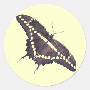 Gigant Frack Butterfly Stickers