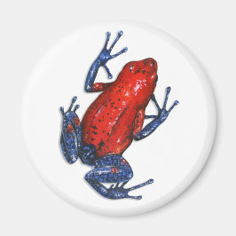 Giison Dart Frog Magnet