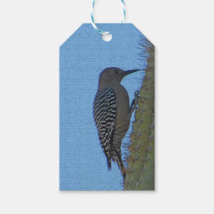 Gila Woodpecker Clings to Saguaro Cactus Arizona Geschenkanhänger