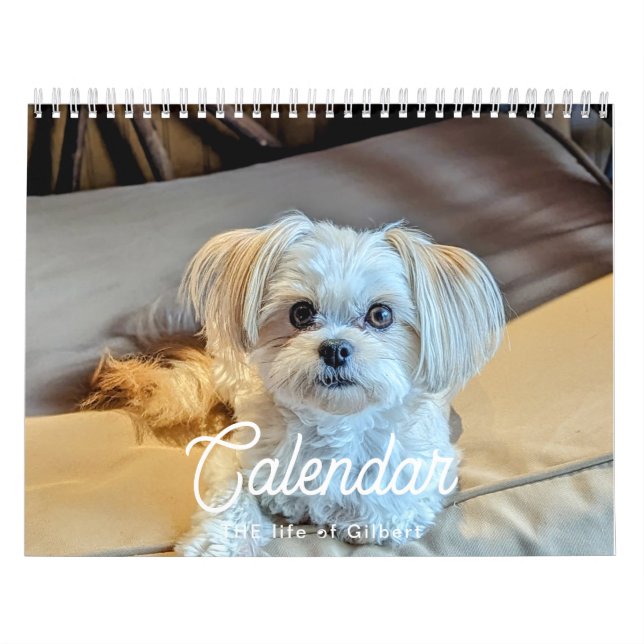 Gilbert Calendar 2025 Kalender (Titelbild)