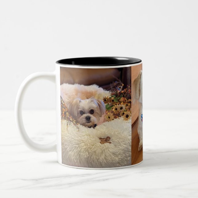 Gilbert Mug (Gauche)