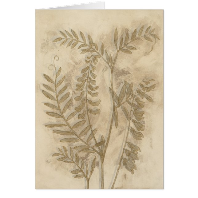 Gilded Foliage (Vorne)