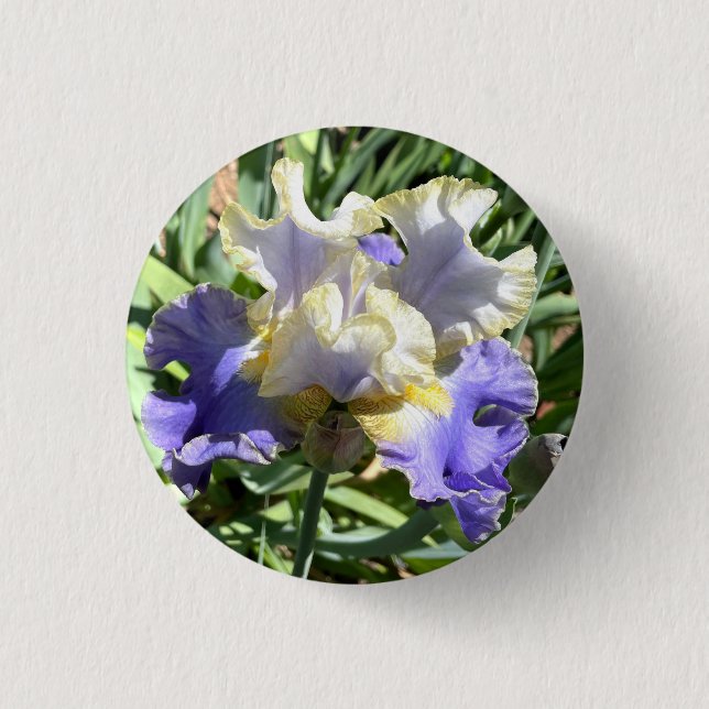 Gilded Iris Button (Vorderseite)