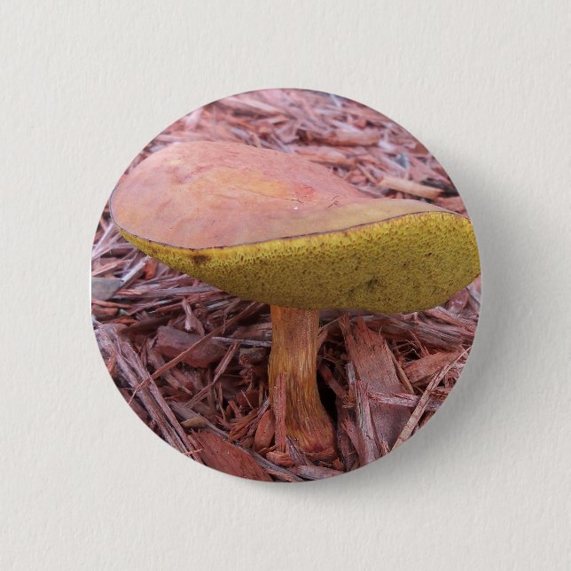 Gill Bolete Mushroom Button (Vorderseite)