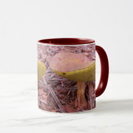 Gill Bolete Mushroom Tasse