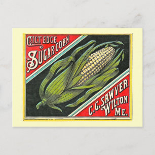 Gilt Edge Sugar Corn Vintage-Kistenetikett Postkarte